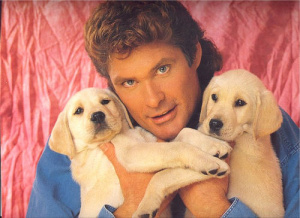 Hasselhoff.jpg